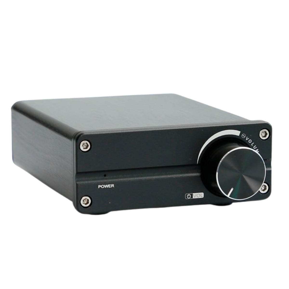 D100 Digital Subwoofer Machine 100W Subwoofer Speaker Home AMP